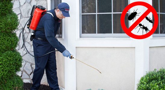 Çemişgezek Gümüşkurt İlaçlama böcek ilaçlama ve haşere kontrolü — ilaclama-tr.com